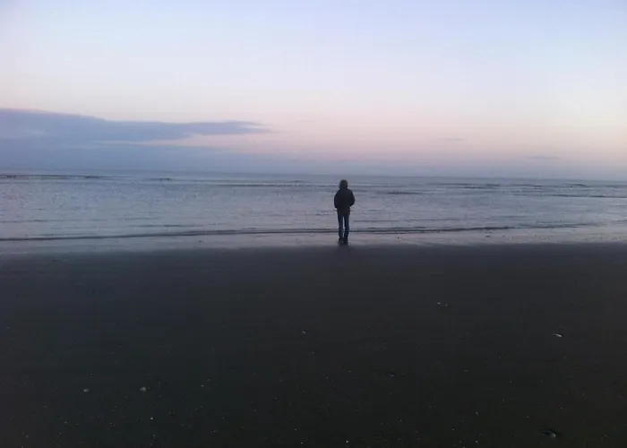 The Bunker Cottage, Baltray 펜션 *